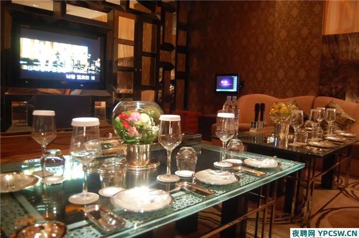 重庆夜场招聘,山茶花模特精英集结令,闪耀山城夜店