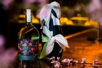 杭州夜场招聘/杭州服务生/管家样随心挑选