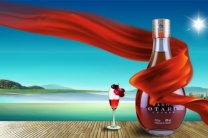 杭州夜场招聘-杭州礼仪招聘高薪日结等您