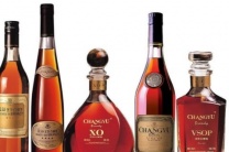 杭州夜场招聘-杭州夜总会商务夜场贤能速至