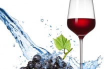 杭州夜场招聘-杭州夜总会模特招聘